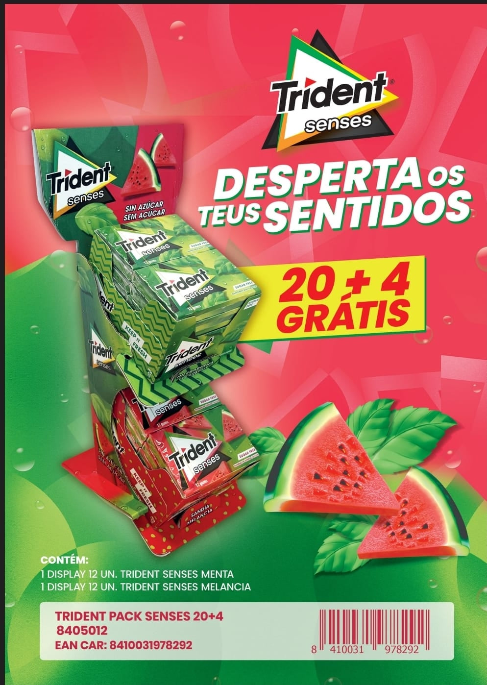 Expositor Senses c/24uni